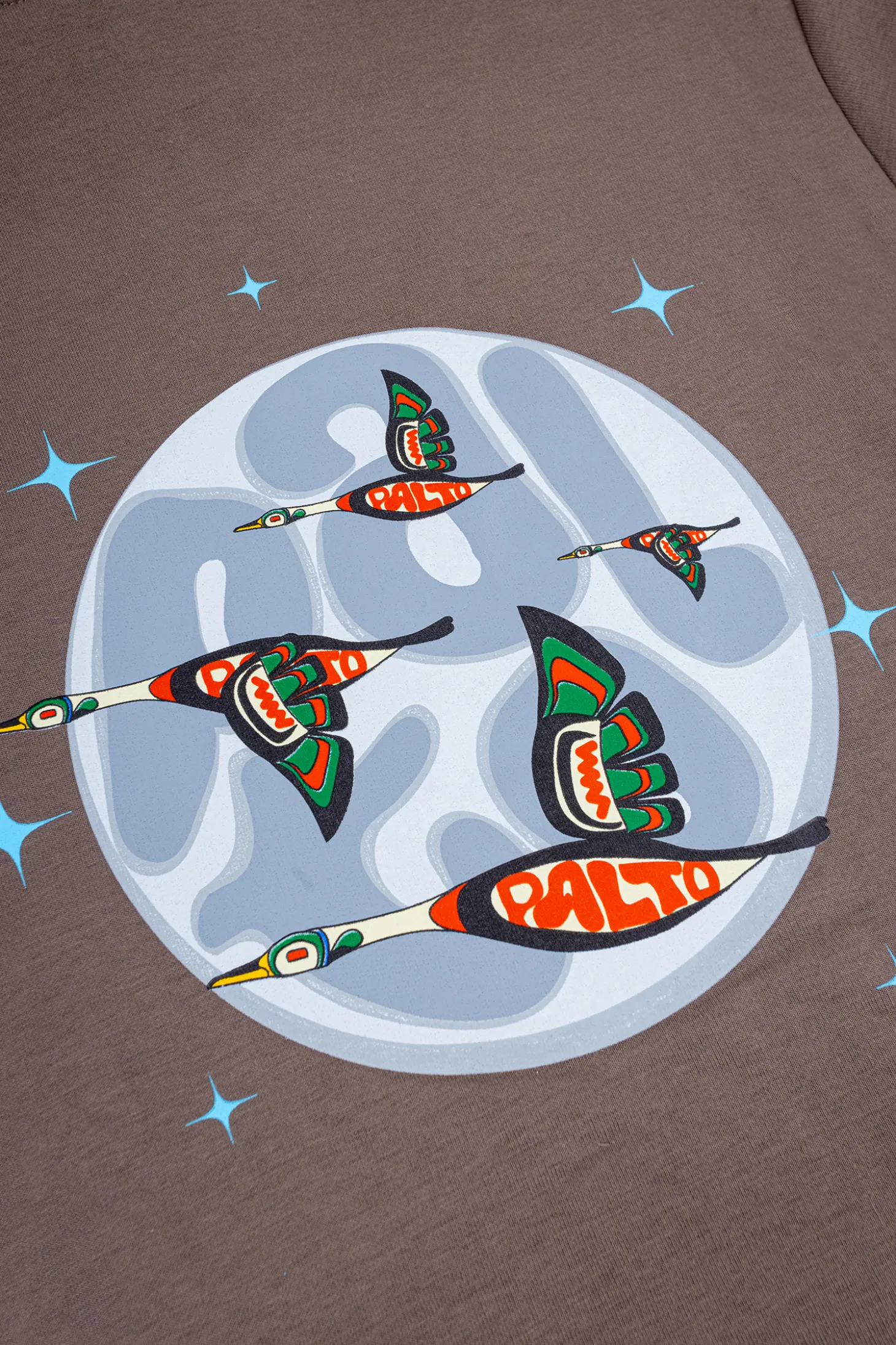 Bluza Snowboardowa Palto Goose