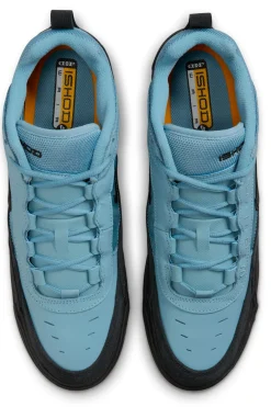 Buty Nike SB Air Max Ishod