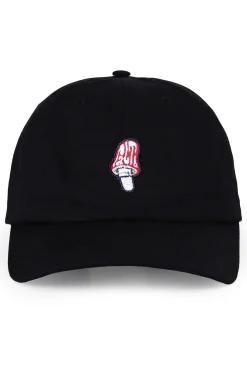 Czapka Palto Mushroom