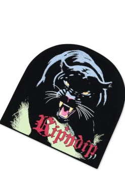 Czapka Zimowa Ripndip Fein