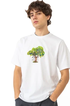 Koszulka Palto Lemon Tree