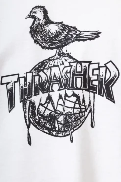 Koszulka Thrasher x Antihero Cover The Earth